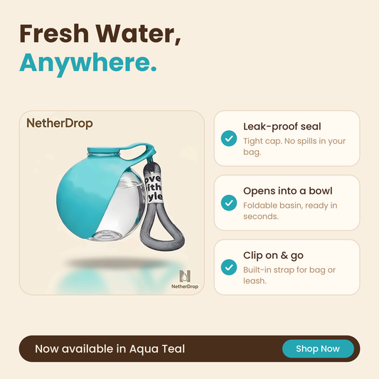 NetherDrop Aqua Hydrate – The Modern Portable Pet Water Bottle