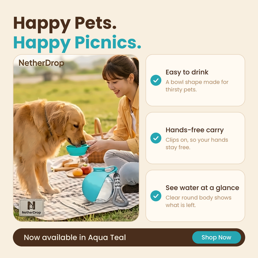 NetherDrop Aqua Hydrate – The Modern Portable Pet Water Bottle